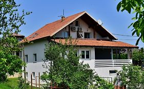House Bicanic